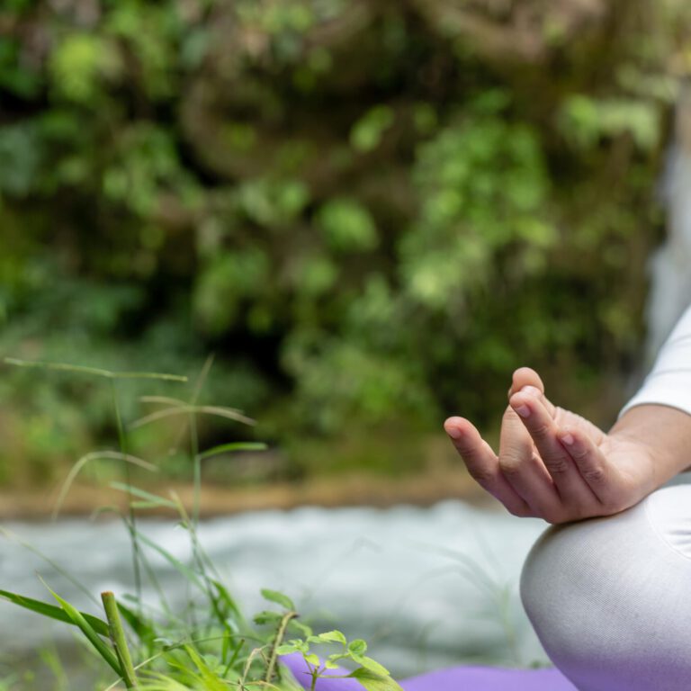 Centro de terapias naturales en Valencia -Holístico